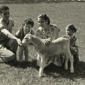 Gruppo con pecorella