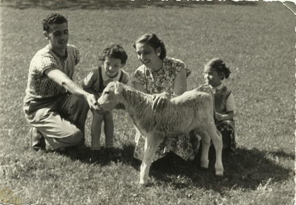 Gruppo con pecorella