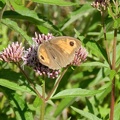 natura_e_paesaggio_2_20110909_1260932184.jpg