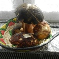 Porcini