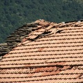 il_degrado_della_fortezza_dei_doria_20100920_1780258188.jpg