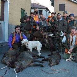 Squadra cinghiale Fontanarossa-Rondanina