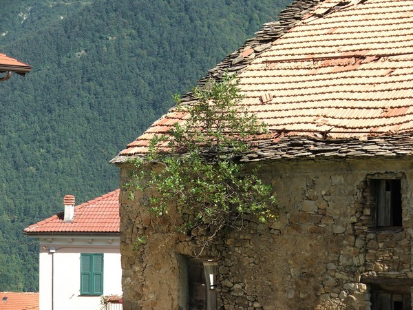 Il degrado della fortezza dei Doria