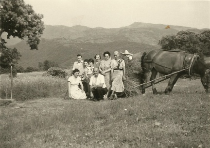 Gruppo sul monte