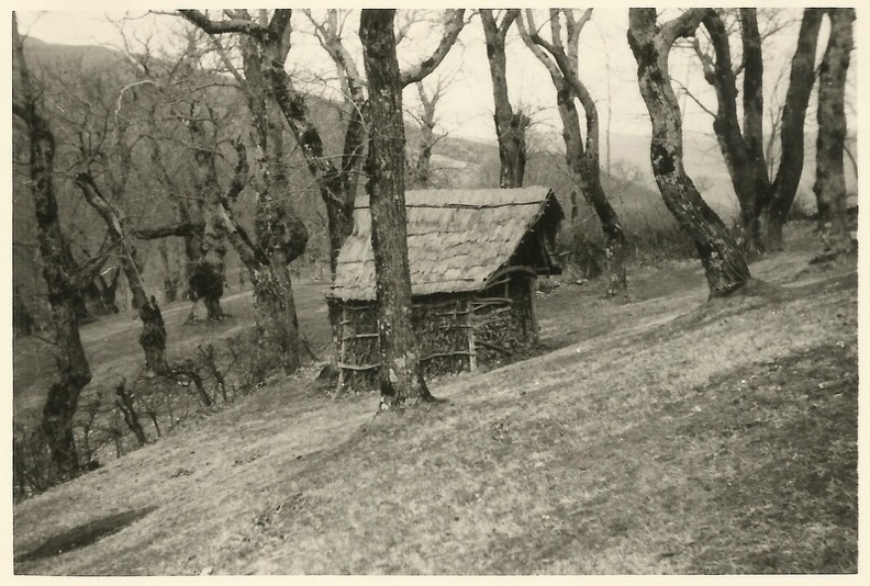 dt_fontanarossa23.jpg