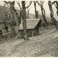 Cascinotto