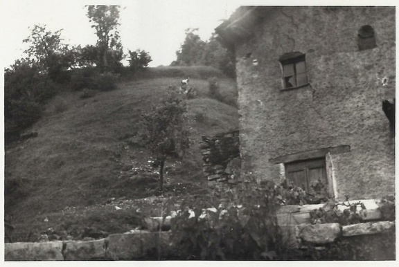 La casa di Andreino