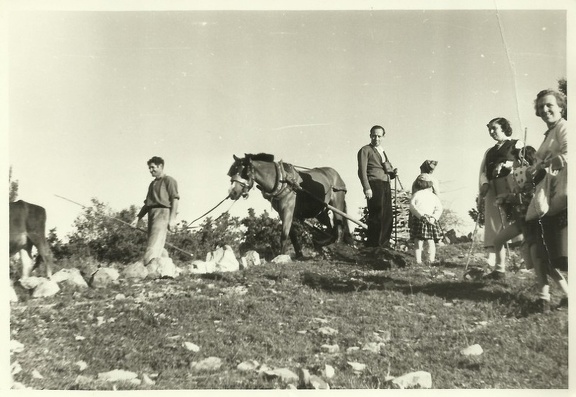 Gruppo sul monte