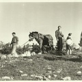 Gruppo sul monte