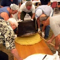 Feste 2004