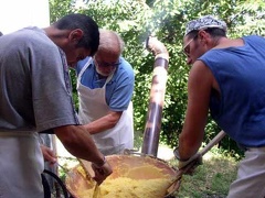 Feste 2004