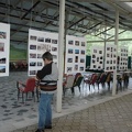 La mostra fotografica