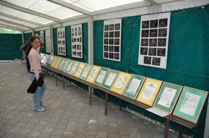 La mostra fotografica