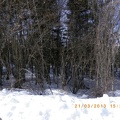 Neve a Fontanarossa