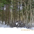 Neve a Fontanarossa