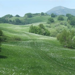 Fontanarossa. La natura