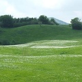 Fioritura dei narcisi sul monte della Cavalla