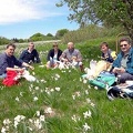 Fioritura dei narcisi sul monte della Cavalla  