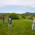 Fioritura dei narcisi sul monte della Cavalla