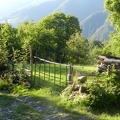 Cancello rurale