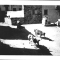 Piazza San Rocco