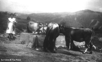 La vasca di via Piana