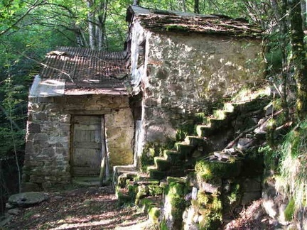 Il mulino