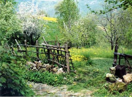 Scorcio primaverile
