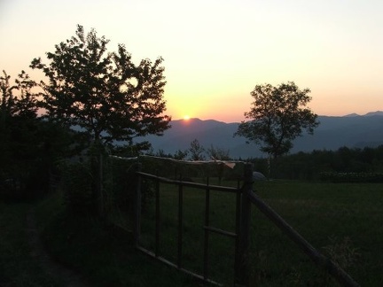 Alba