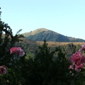 Il monte Alfeo