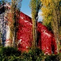 Scorcio autunnale