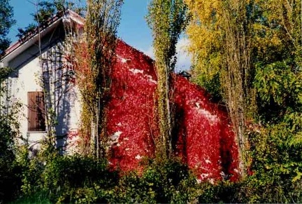 Scorcio autunnale