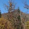 Scorcio autunnale