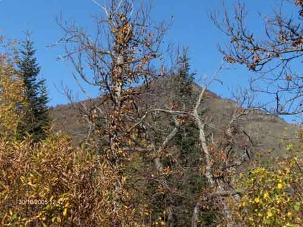 Scorcio autunnale