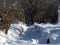 Neve a Fontanarossa