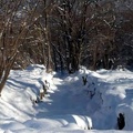 Neve a Fontanarossa