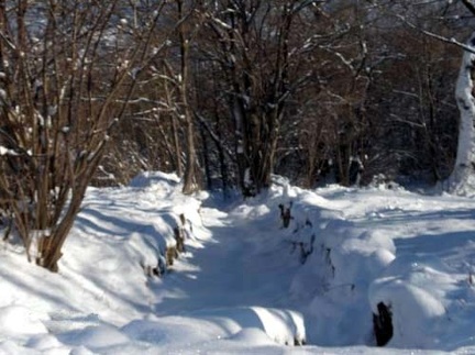 Neve a Fontanarossa