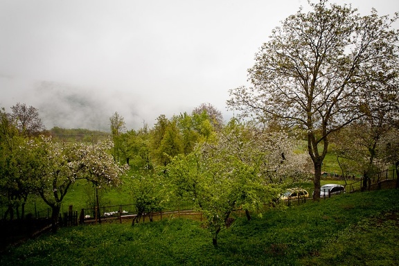 Fontanarossa