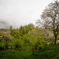 Fontanarossa