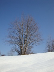 Neve a Fontanarossa 