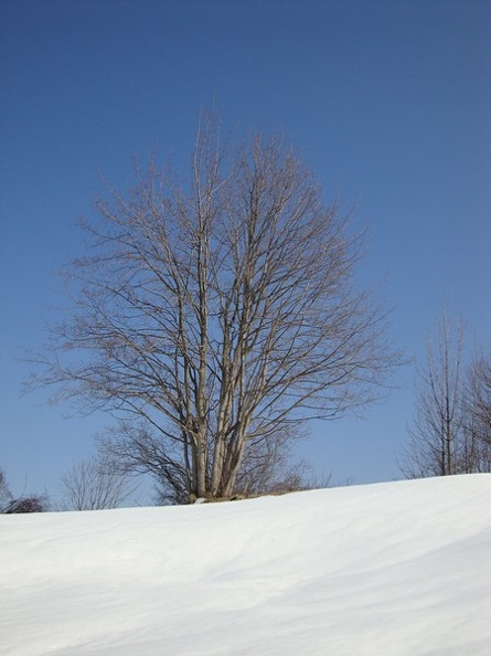 Neve a Fontanarossa 