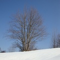 Neve a Fontanarossa 