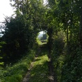 Stargate