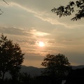 Alba