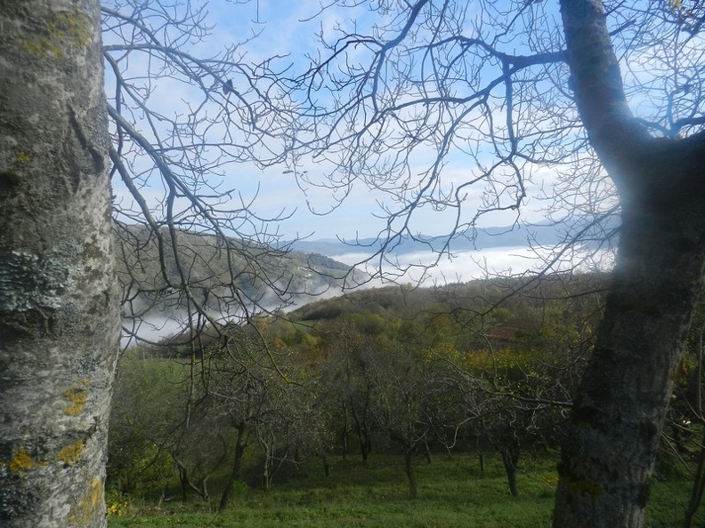 Nebbia in valle.jpg