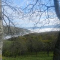 Nebbia in valle