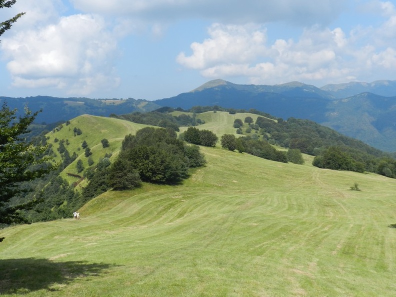 Pian della Cavalla2.jpg