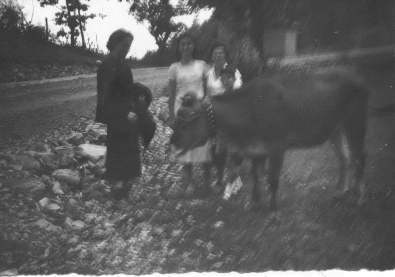 Anni \'50 - Sorella di Genio fisarmonicista - al pascolo nei prati di Borgo. Sullo sfondo la Cappelletta .jpg