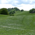 17 maggio - Gita al Pian della Cavalla