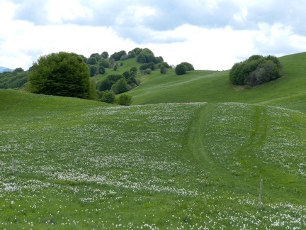 17 maggio - Gita al Pian della Cavalla